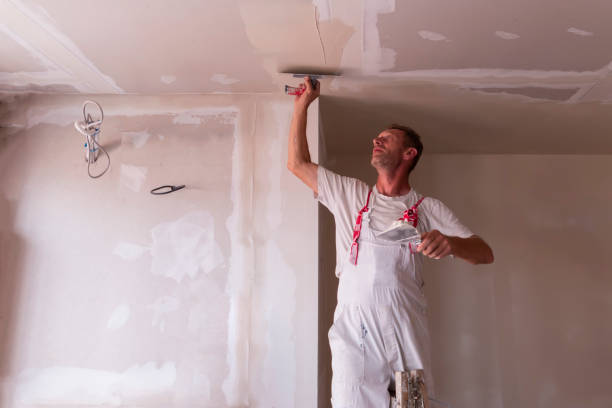 Best Drywall Sanding and Smoothing  in South Haven, MI